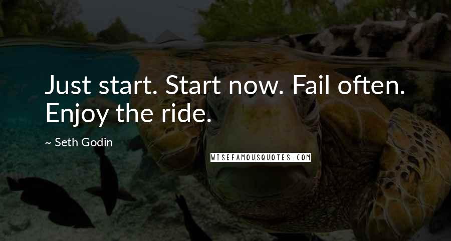Seth Godin Quotes: Just start. Start now. Fail often. Enjoy the ride.