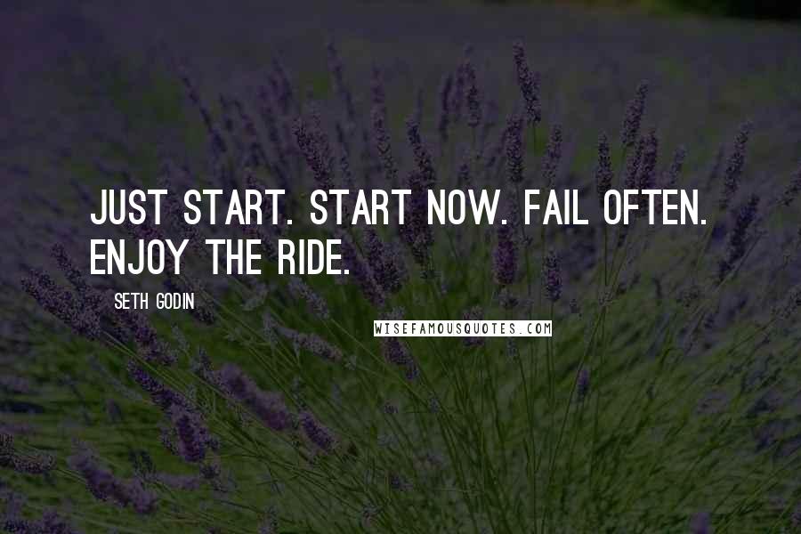 Seth Godin Quotes: Just start. Start now. Fail often. Enjoy the ride.