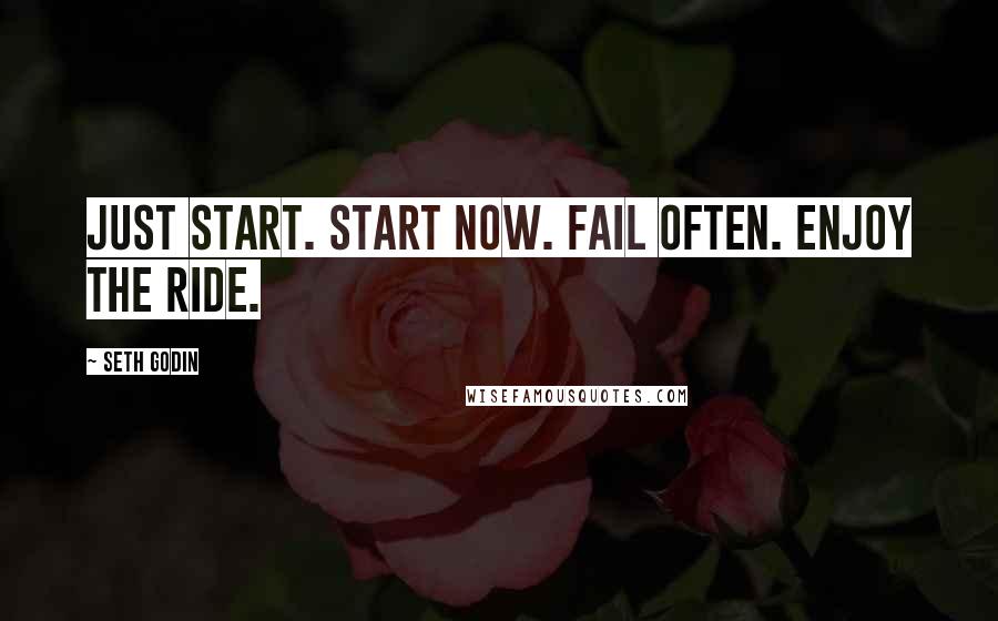 Seth Godin Quotes: Just start. Start now. Fail often. Enjoy the ride.
