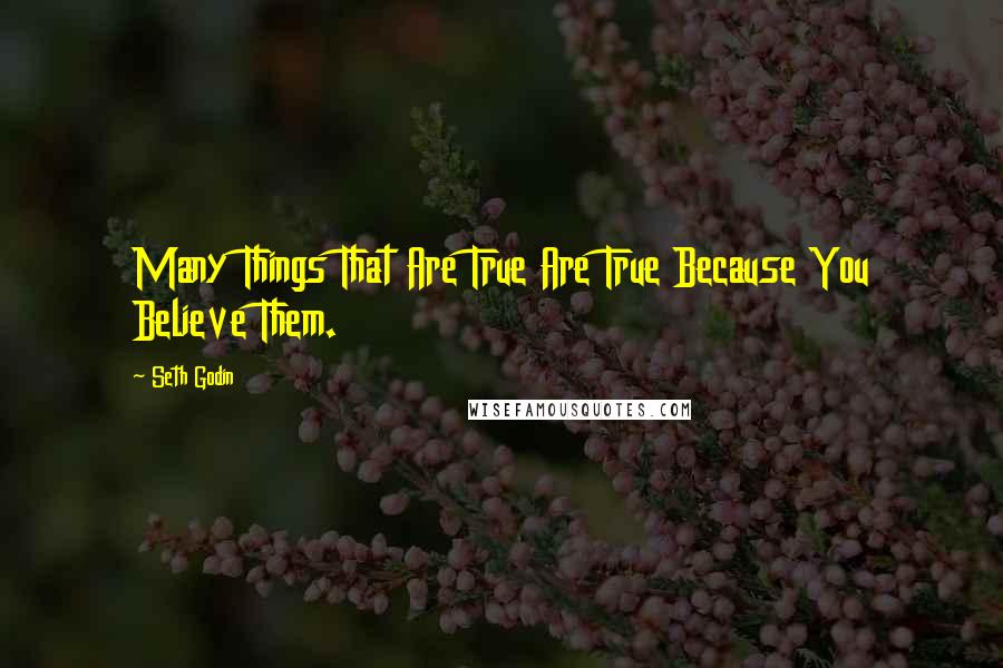 Seth Godin Quotes: Many Things That Are True Are True Because You Believe Them.