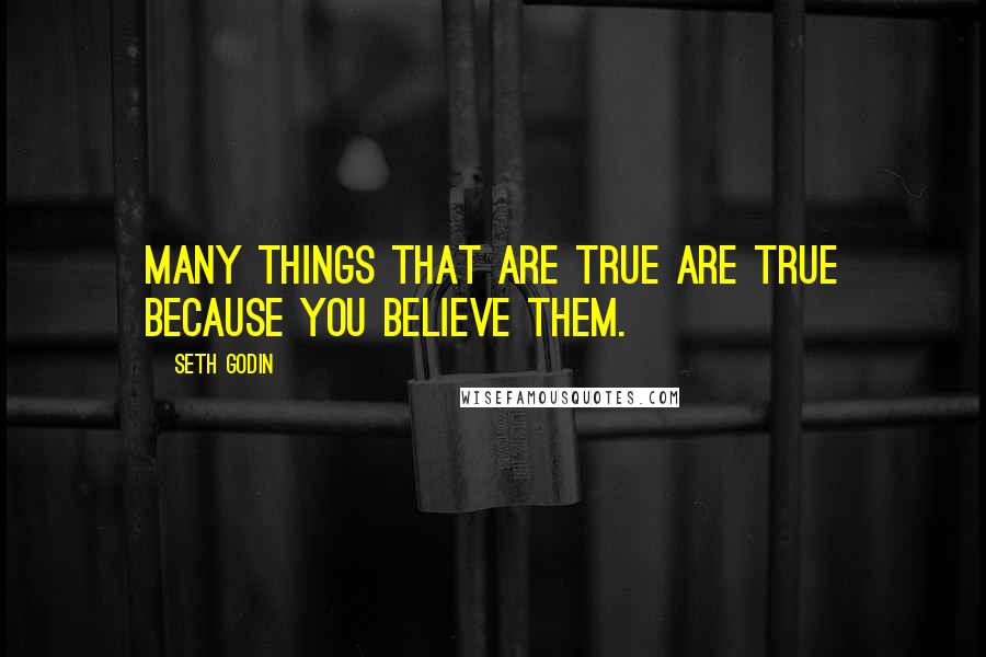Seth Godin Quotes: Many Things That Are True Are True Because You Believe Them.