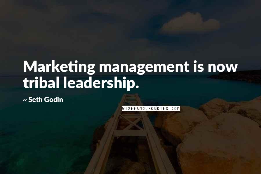 Seth Godin Quotes: Marketing management is now tribal leadership.