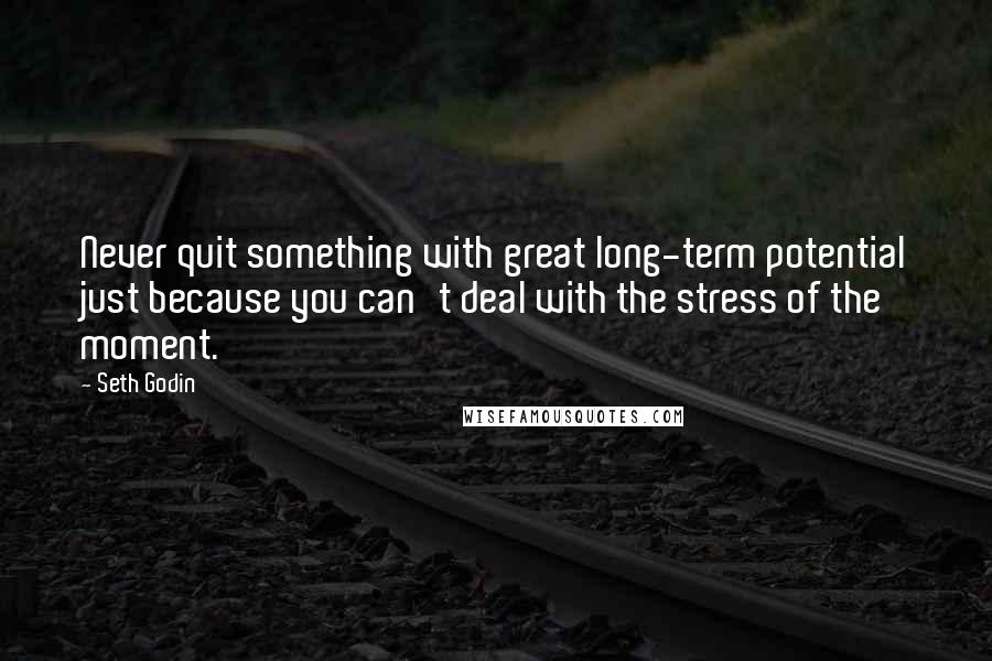 Seth Godin Quotes: Never quit something with great long-term potential just because you can't deal with the stress of the moment.