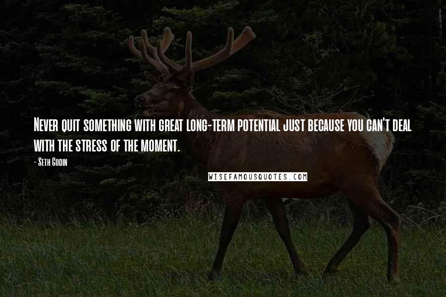 Seth Godin Quotes: Never quit something with great long-term potential just because you can't deal with the stress of the moment.