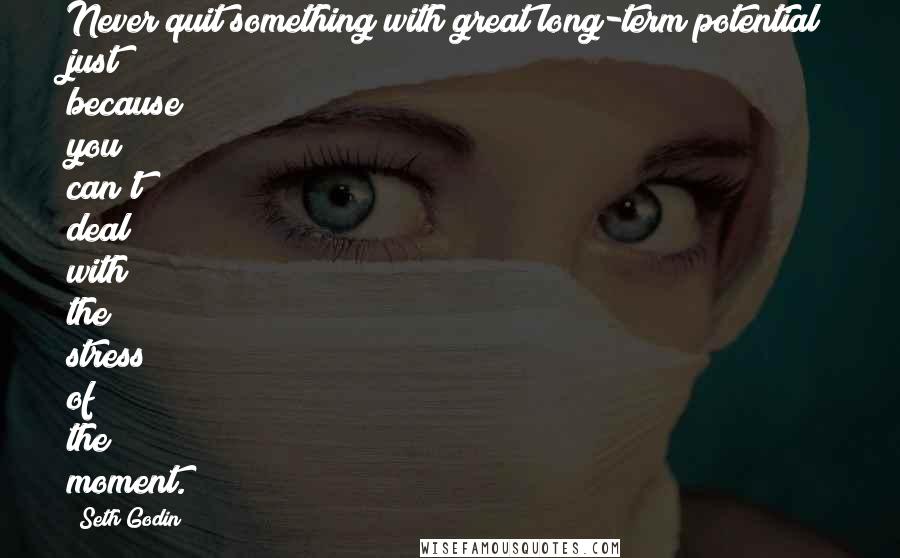 Seth Godin Quotes: Never quit something with great long-term potential just because you can't deal with the stress of the moment.