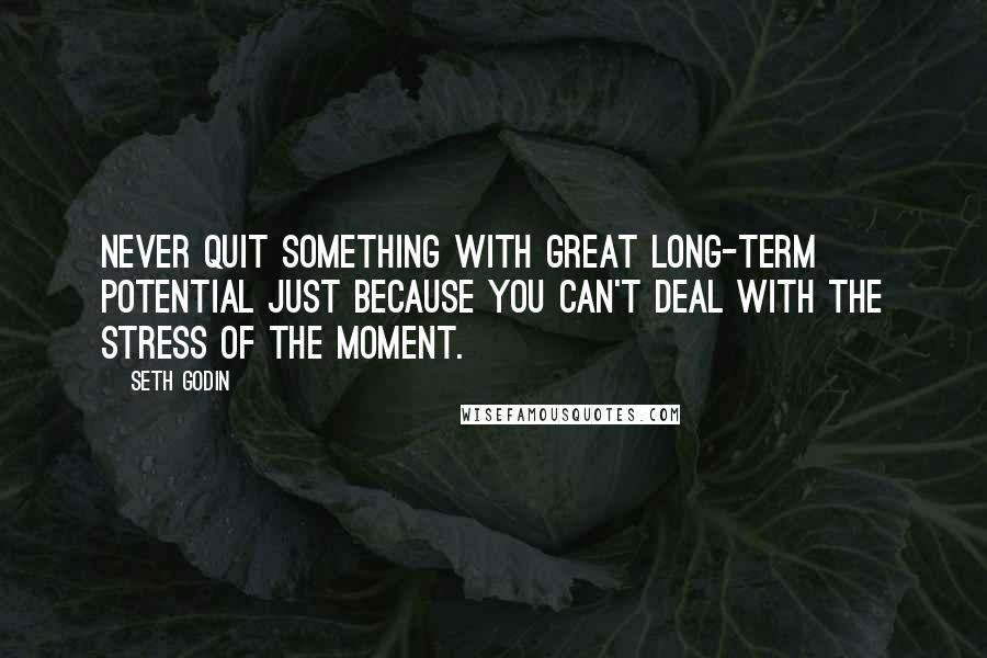 Seth Godin Quotes: Never quit something with great long-term potential just because you can't deal with the stress of the moment.