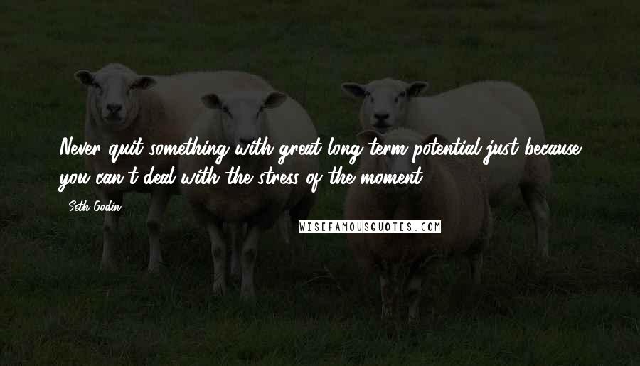 Seth Godin Quotes: Never quit something with great long-term potential just because you can't deal with the stress of the moment.