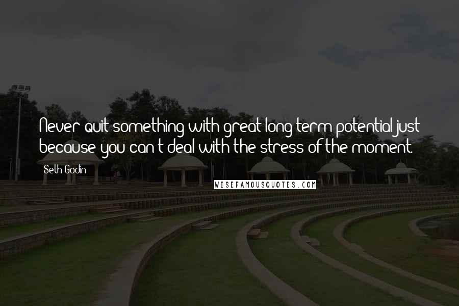 Seth Godin Quotes: Never quit something with great long-term potential just because you can't deal with the stress of the moment.