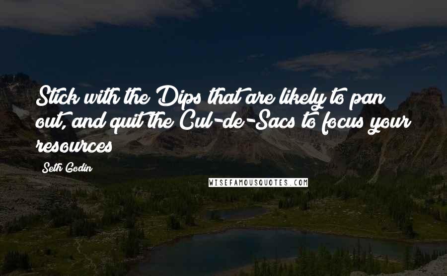 Seth Godin Quotes: Stick with the Dips that are likely to pan out, and quit the Cul-de-Sacs to focus your resources