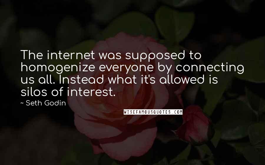 Seth Godin Quotes: The internet was supposed to homogenize everyone by connecting us all. Instead what it's allowed is silos of interest.