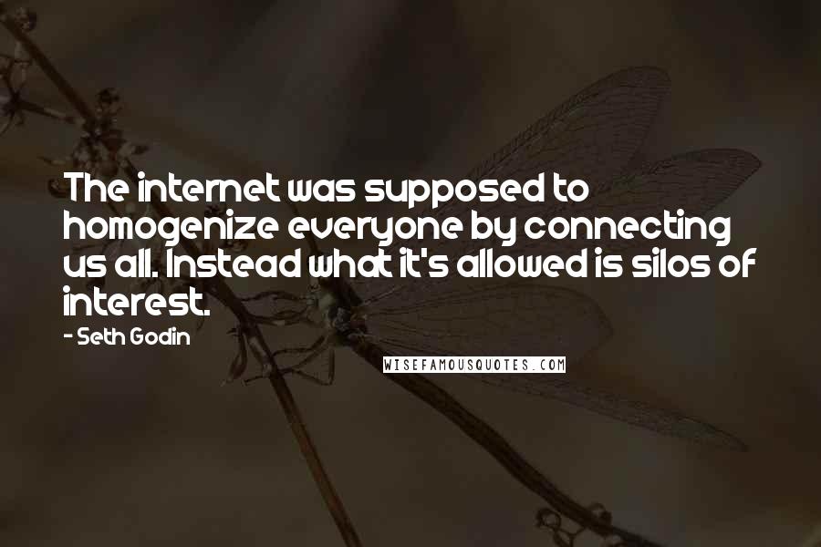Seth Godin Quotes: The internet was supposed to homogenize everyone by connecting us all. Instead what it's allowed is silos of interest.