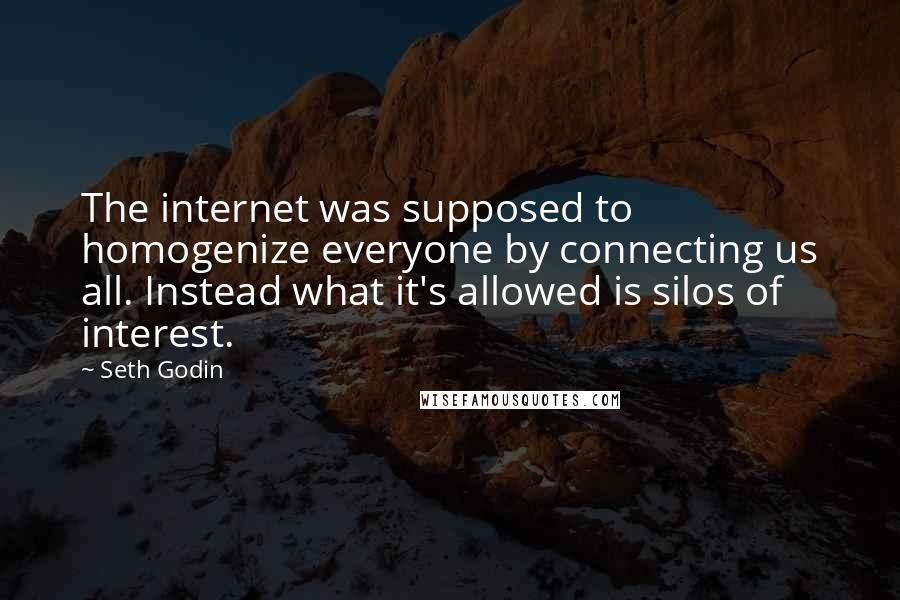 Seth Godin Quotes: The internet was supposed to homogenize everyone by connecting us all. Instead what it's allowed is silos of interest.