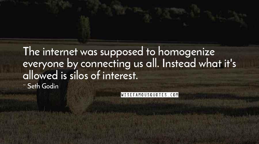 Seth Godin Quotes: The internet was supposed to homogenize everyone by connecting us all. Instead what it's allowed is silos of interest.