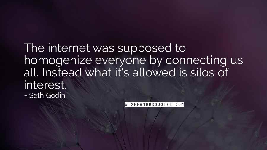Seth Godin Quotes: The internet was supposed to homogenize everyone by connecting us all. Instead what it's allowed is silos of interest.