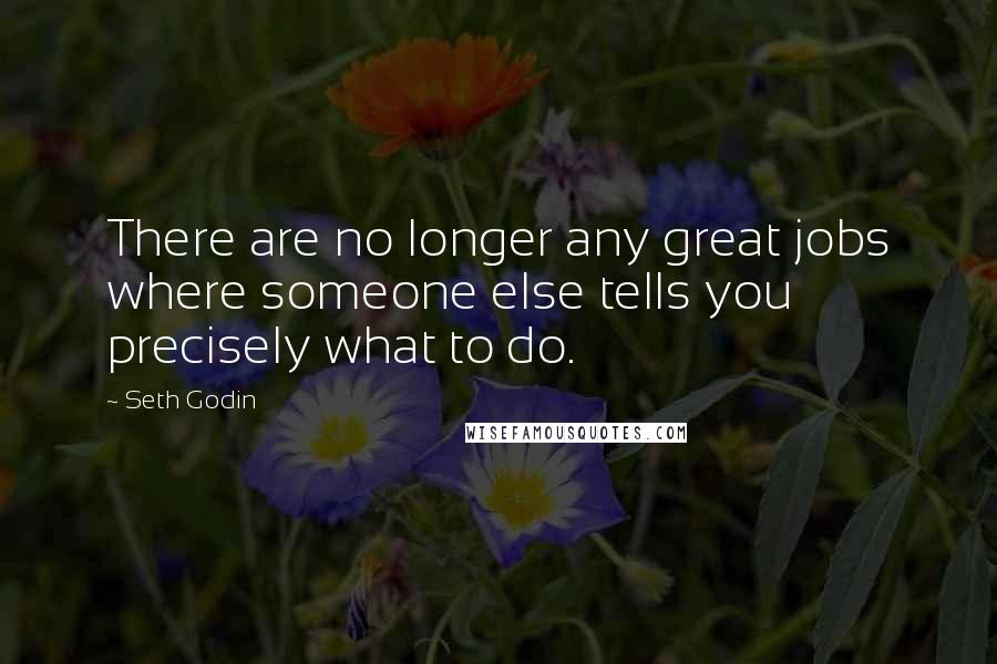 Seth Godin Quotes: There are no longer any great jobs where someone else tells you precisely what to do.