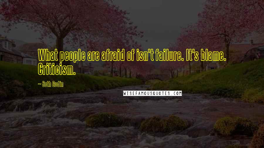 Seth Godin Quotes: What people are afraid of isn't failure. It's blame. Criticism.