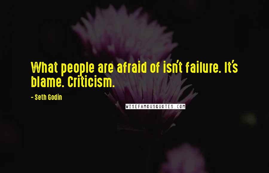 Seth Godin Quotes: What people are afraid of isn't failure. It's blame. Criticism.