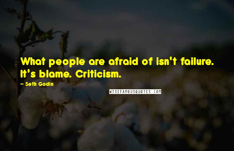 Seth Godin Quotes: What people are afraid of isn't failure. It's blame. Criticism.