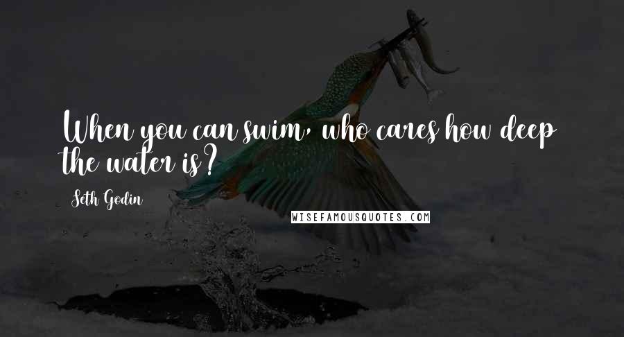 Seth Godin Quotes: When you can swim, who cares how deep the water is?