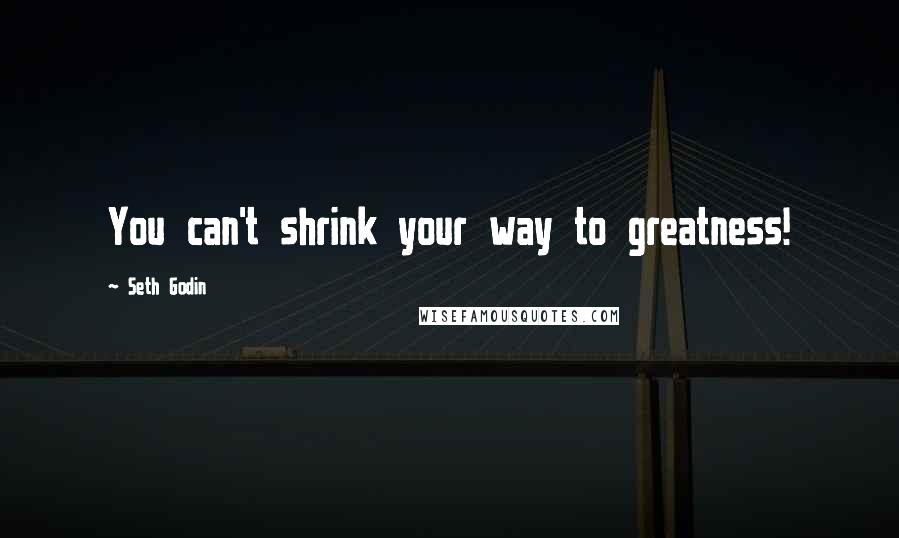 Seth Godin Quotes: You can't shrink your way to greatness!