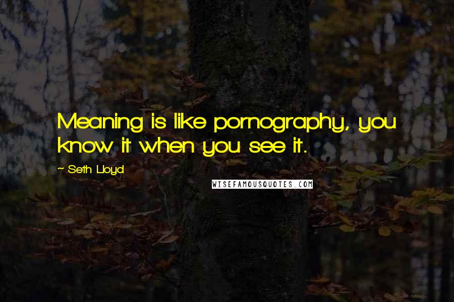 Seth Lloyd Quotes: Meaning is like pornography, you know it when you see it.