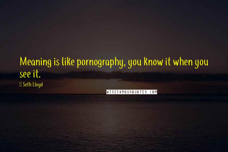 Seth Lloyd Quotes: Meaning is like pornography, you know it when you see it.
