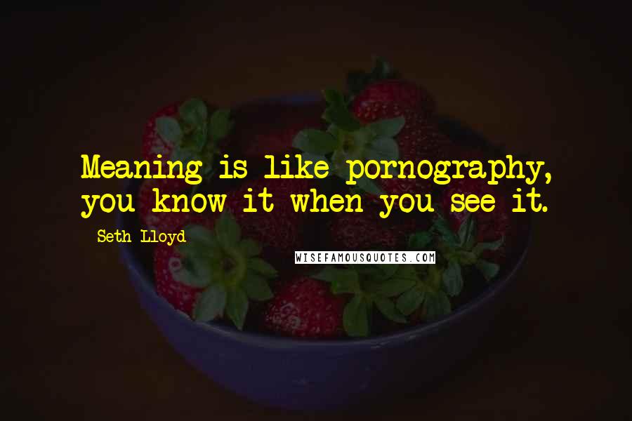 Seth Lloyd Quotes: Meaning is like pornography, you know it when you see it.