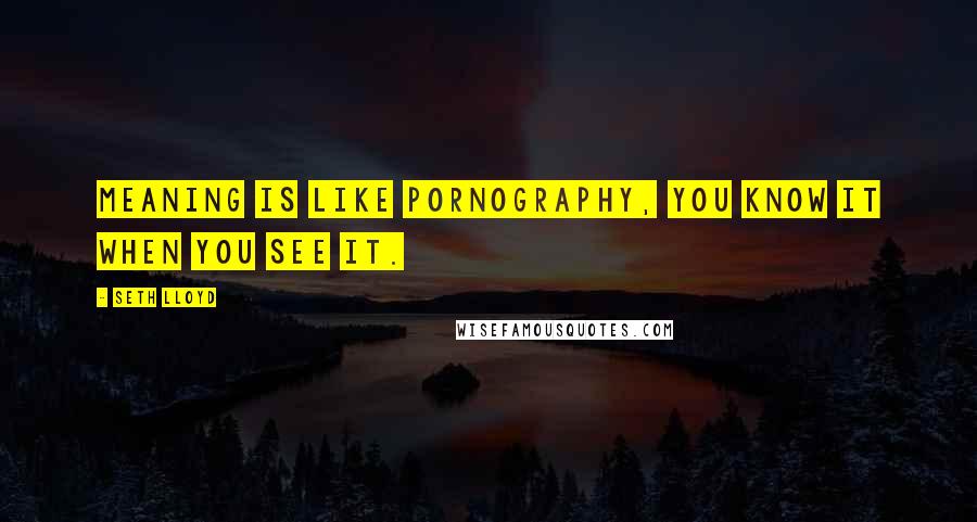 Seth Lloyd Quotes: Meaning is like pornography, you know it when you see it.