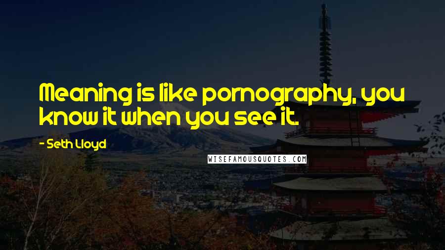 Seth Lloyd Quotes: Meaning is like pornography, you know it when you see it.