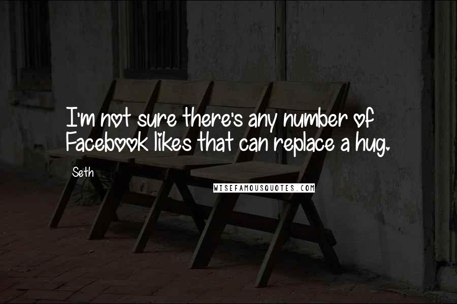 Seth Quotes: I'm not sure there's any number of Facebook likes that can replace a hug.