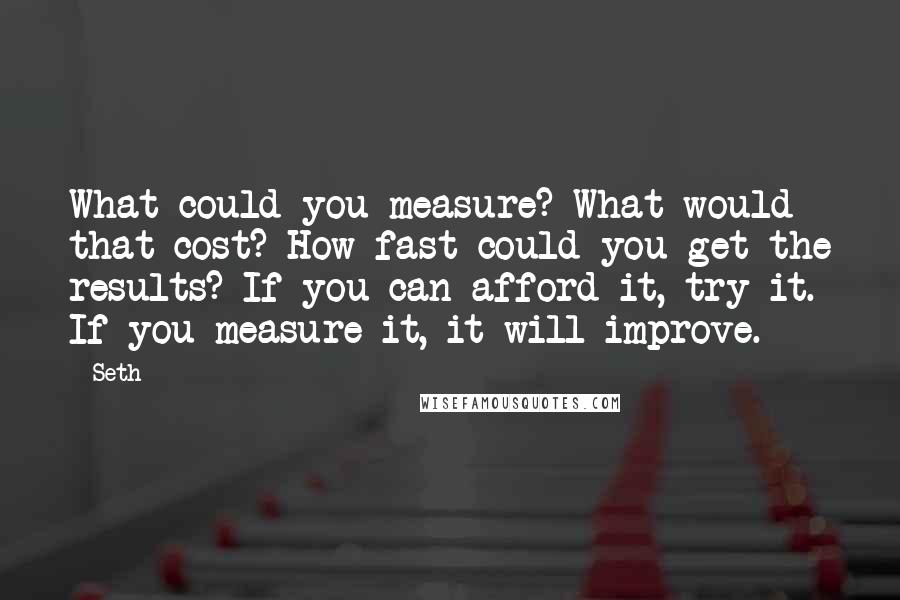 Seth Quotes: What could you measure? What would that cost? How fast could you get the results? If you can afford it, try it. If you measure it, it will improve.