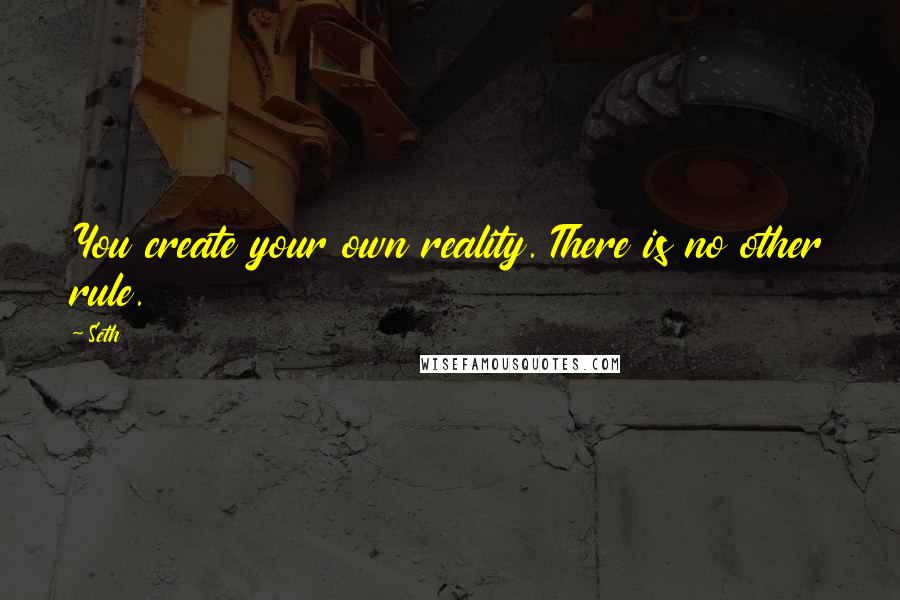 Seth Quotes: You create your own reality. There is no other rule.