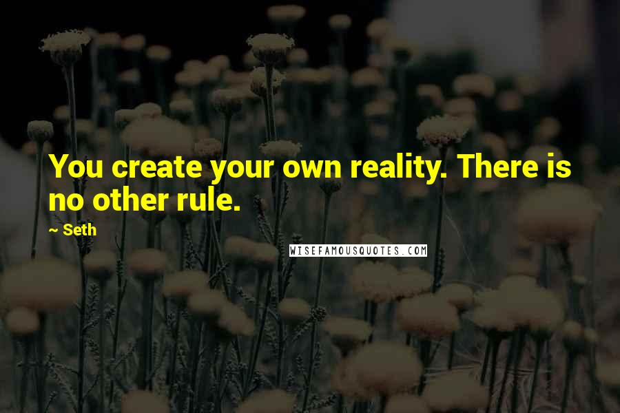 Seth Quotes: You create your own reality. There is no other rule.