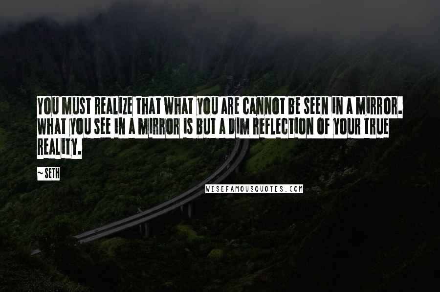 Seth Quotes: You must realize that what you are cannot be seen in a mirror. What you see in a mirror is but a dim reflection of your true reality.