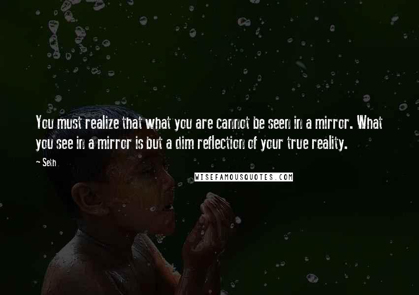 Seth Quotes: You must realize that what you are cannot be seen in a mirror. What you see in a mirror is but a dim reflection of your true reality.