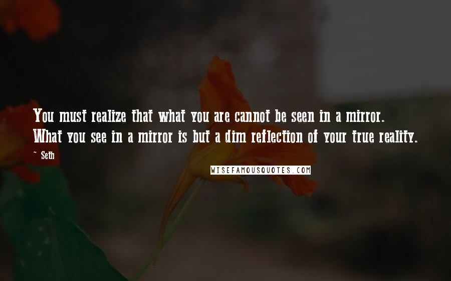 Seth Quotes: You must realize that what you are cannot be seen in a mirror. What you see in a mirror is but a dim reflection of your true reality.