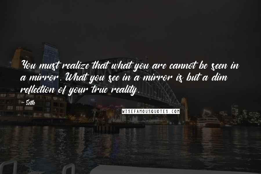 Seth Quotes: You must realize that what you are cannot be seen in a mirror. What you see in a mirror is but a dim reflection of your true reality.