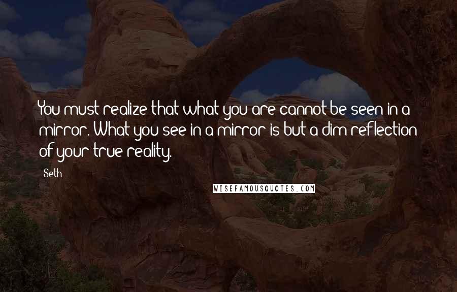 Seth Quotes: You must realize that what you are cannot be seen in a mirror. What you see in a mirror is but a dim reflection of your true reality.