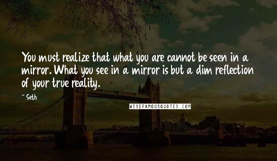 Seth Quotes: You must realize that what you are cannot be seen in a mirror. What you see in a mirror is but a dim reflection of your true reality.