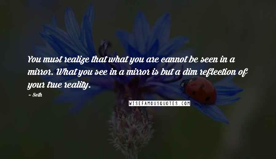 Seth Quotes: You must realize that what you are cannot be seen in a mirror. What you see in a mirror is but a dim reflection of your true reality.