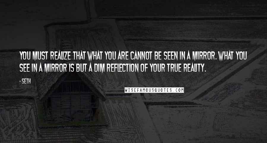 Seth Quotes: You must realize that what you are cannot be seen in a mirror. What you see in a mirror is but a dim reflection of your true reality.