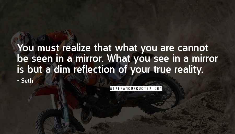 Seth Quotes: You must realize that what you are cannot be seen in a mirror. What you see in a mirror is but a dim reflection of your true reality.