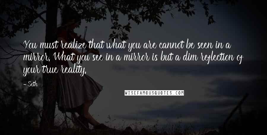 Seth Quotes: You must realize that what you are cannot be seen in a mirror. What you see in a mirror is but a dim reflection of your true reality.