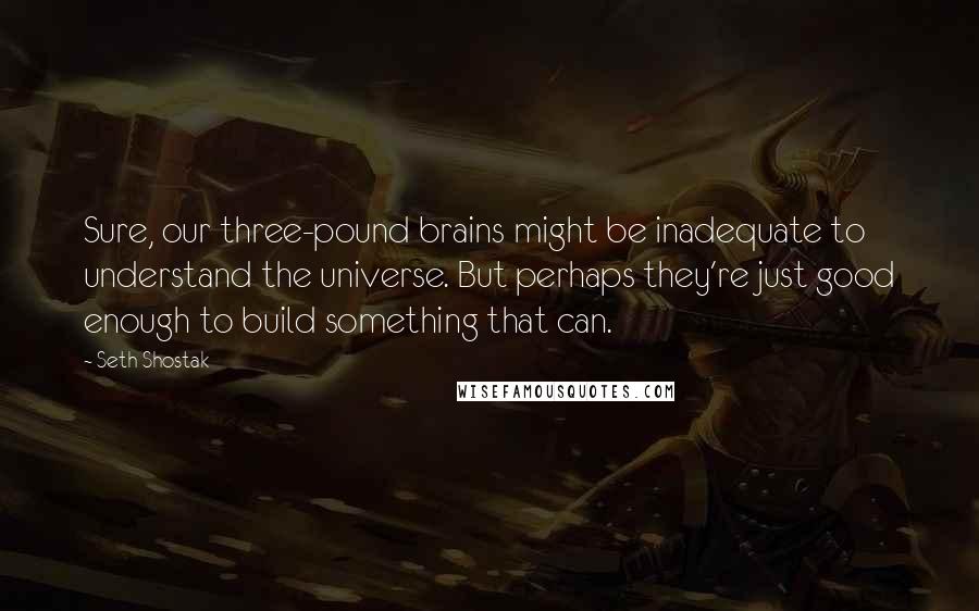 Seth Shostak Quotes: Sure, our three-pound brains might be inadequate to understand the universe. But perhaps they're just good enough to build something that can.