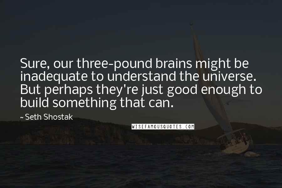 Seth Shostak Quotes: Sure, our three-pound brains might be inadequate to understand the universe. But perhaps they're just good enough to build something that can.