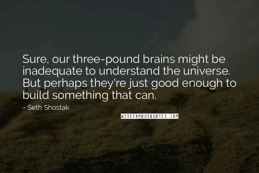 Seth Shostak Quotes: Sure, our three-pound brains might be inadequate to understand the universe. But perhaps they're just good enough to build something that can.