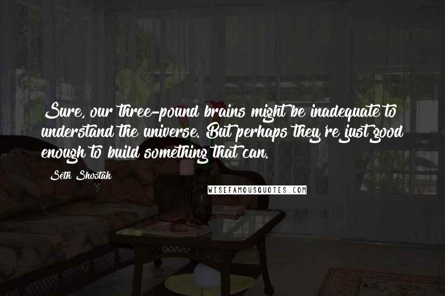 Seth Shostak Quotes: Sure, our three-pound brains might be inadequate to understand the universe. But perhaps they're just good enough to build something that can.