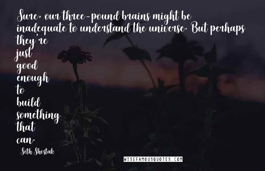 Seth Shostak Quotes: Sure, our three-pound brains might be inadequate to understand the universe. But perhaps they're just good enough to build something that can.