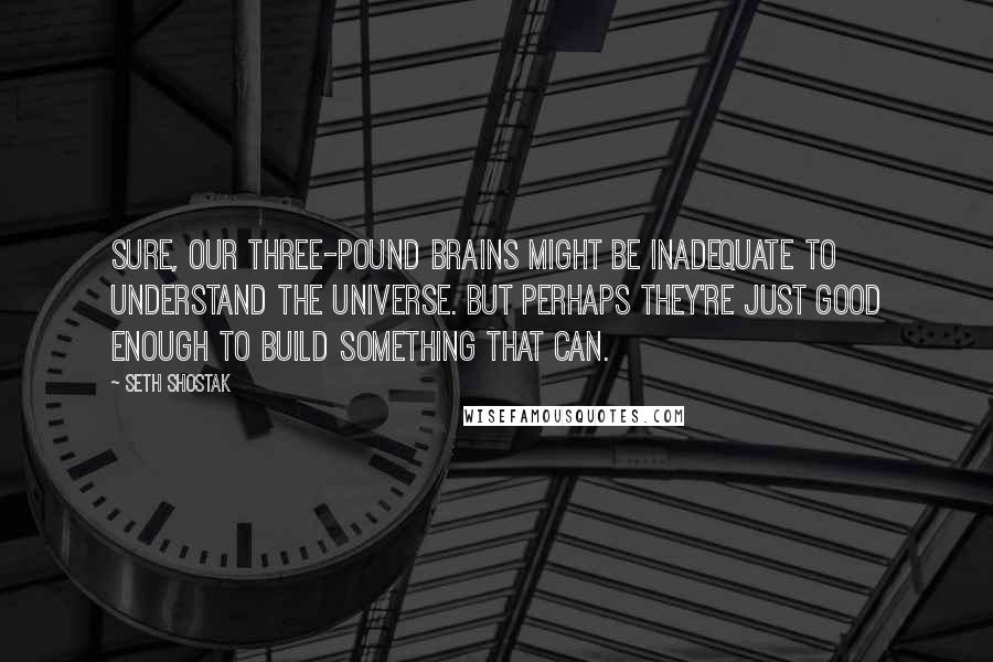 Seth Shostak Quotes: Sure, our three-pound brains might be inadequate to understand the universe. But perhaps they're just good enough to build something that can.