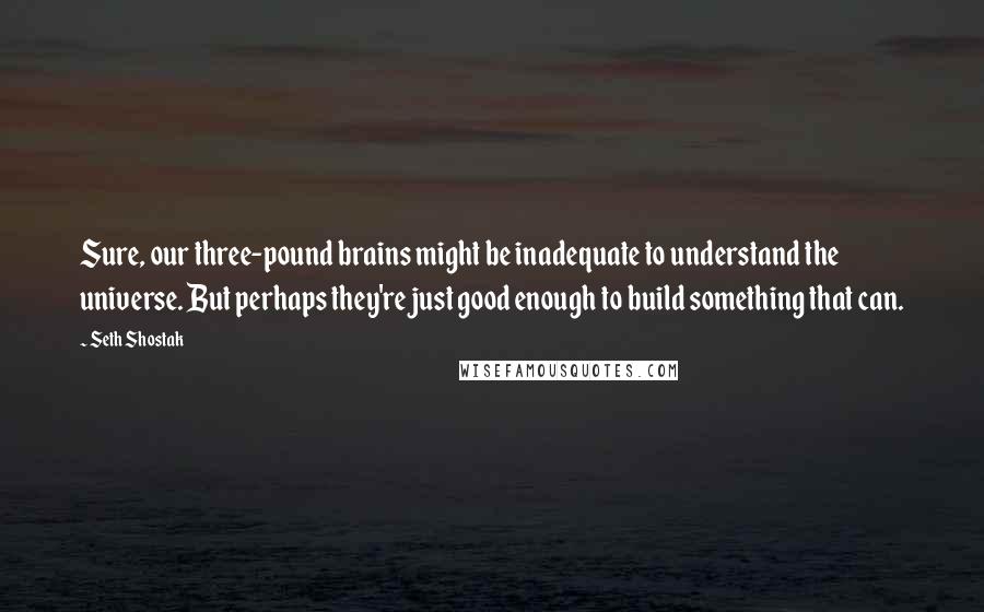 Seth Shostak Quotes: Sure, our three-pound brains might be inadequate to understand the universe. But perhaps they're just good enough to build something that can.